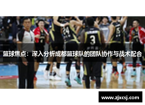 篮球焦点：深入分析成都篮球队的团队协作与战术配合